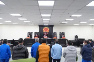 Vụ án tại NXB Giáo dục: Luật sư đề nghị áp dụng chính sách khoan hồng đặc biệt