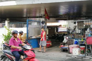 Cận cảnh dạ cầu bị 'xẻ thịt' tại TP.HCM