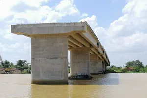 Người dân ngao ngán nhìn cầu Long Đại 'mọc cây'