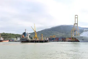 TP.HCM muốn hợp tác với Bỉ, Hà Lan trên nhiều lĩnh vực