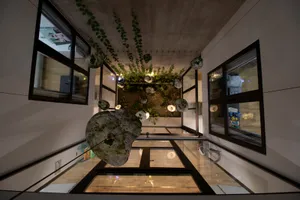 Ấn tượng với ngôi nhà phố liền kề nhưng lại rất... tách biệt