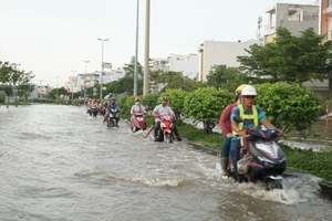TP.HCM ra chỉ đạo chống triều cường dịp tết Canh Tý