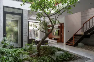 Ngôi nhà tựa như ốc đảo xanh giữa lòng Hà Nội