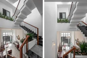 Mẫu nhà phố lệch tầng tiện nghi và tiết kiệm