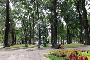 Quy hoạch cây xanh ở công viên như thế nào mới chuẩn?