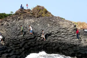 TP.HCM sắp mở tour du lịch đến xứ 'hoa vàng trên cỏ xanh'