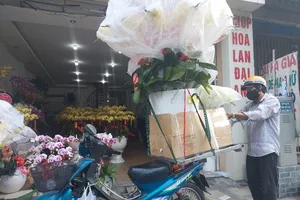 Nhuộm màu lạ cho lan hồ điệp để bán Tết