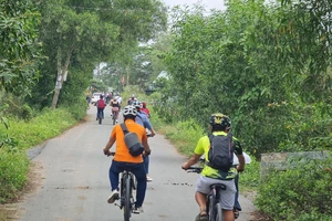 2000 người tham gia chạy việt dã băng đồng huyện Củ Chi, TP.HCM