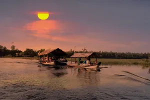 Ngắm bình minh ở Vườn Quốc Gia Tràm Chim, Đồng Tháp