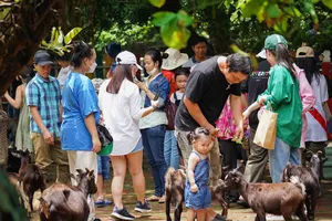 Tạo app riêng cho các điểm du lịch TP.HCM 