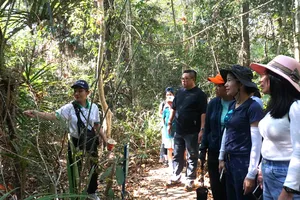 Du lịch nội địa gặp khó khi tăng giá trần giá vé máy bay