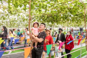 Kiến nghị nhiều giải pháp phát triển du lịch TP.HCM 