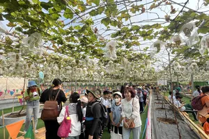 Khu du lịch tại TP.HCM tấp nập khách dịp 8-3