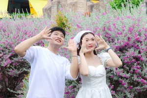 Giới trẻ TP.HCM đua nhau check-in vườn hoa tuyết sơn phi hồng tuyệt đẹp