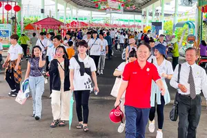 Hàng không và du lịch cần bắt tay dịp cao điểm hè