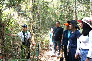 Ngành Du lịch Việt đón sóng bền vững