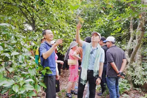 Chính thức bình chọn điểm đến du lịch hấp dẫn TP.HCM và ĐBSCL