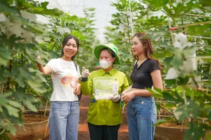 Du lịch nông nghiệp xanh mở ra nhiều cơ hội cho TP.HCM