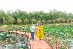 Phát triển du lịch xanh và trị liệu: Cần sự phối hợp đồng bộ