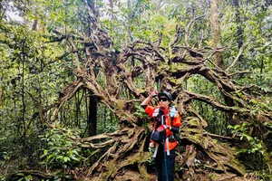 Giải mã việc ngày càng nhiều du khách bị lạc, mất tích... khi đi du lịch trải nghiệm