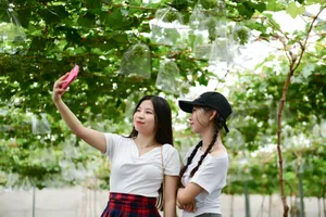 Cuối tuần ăn gì, chơi ở đâu tại TP.HCM?