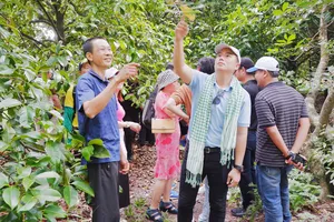 Kịch bản nào cho du lịch TP.HCM và các tỉnh sau khi 'vẽ lại bản đồ'?