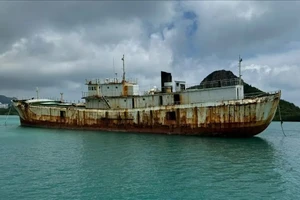 TP.HCM không chấp thuận đề xuất đánh chìm tàu Sheng Li để làm điểm lặn