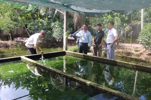 Liệu Bình Mỹ có trở thành điểm du lịch cộng đồng kiểu mẫu của TP.HCM?