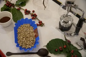 Lần đầu Lâm Đồng tổ chức lễ hội di sản cà phê toàn cầu