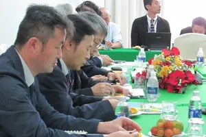 Xoài Việt Nam bán chạy tại Nhật