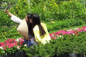 Về làng hoa Sa Đéc chụp ảnh 'tự sướng'