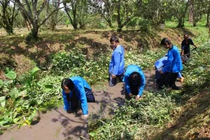 Cần Thơ mời gọi đầu tư dự án khu du lịch 100 triệu USD