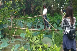 Du lịch cần nhiều hấp dẫn thu hút khách quốc tế