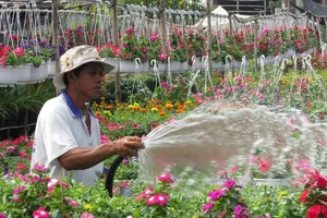 Về Sa Đéc ngắm ngàn sắc hoa