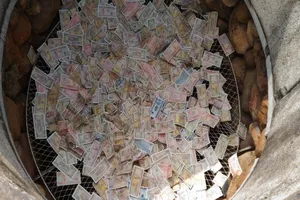 Lại rải tiền lẻ xuống giếng Ngọc 700 năm tuổi