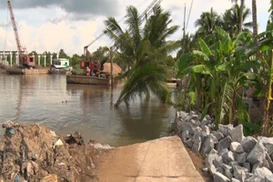 Hậu Giang: Sạt lở cắt đứt tuyến đường cặp sông Ba Láng 