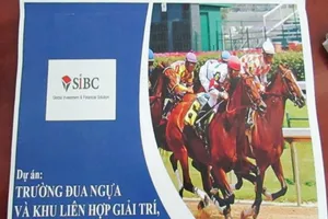 Cần Thơ cho nghiên cứu trường đua ngựa 500 triệu USD