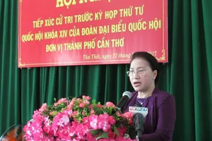 Chủ tịch QH nói về việc 'cách hết chức vụ khi nghỉ hưu'