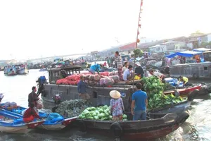 Chợ nổi Cái Răng đang đứng trước nguy cơ 'đẹp trong ký ức, mờ trong hiện thực'