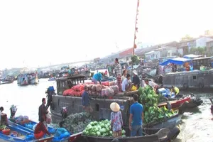 Chợ nổi Cái Răng gây ấn tượng mạnh cho người Nhật 