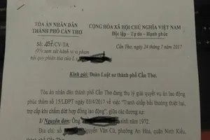 Tạm đình chỉ 12 tháng luật sư vu khống tòa