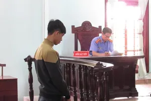 Thanh niên bật khóc, quỳ sụp xin tòa giảm hình phạt