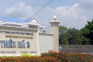 Ba cán bộ ngân hàng ở Cần Thơ bị truy tố tội làm trái