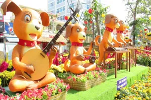 Đường hoa Cần Thơ rực rỡ trước giờ khai mạc