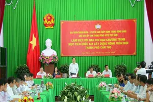 Nông thôn mới: 'Đừng heo 2 chuồng, rau 2 luống'