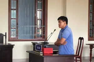 Bị cáo quỳ sụp xuống vừa khóc vừa xin lỗi tòa