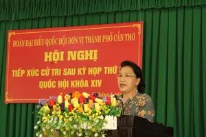 Chủ tịch Quốc hội: Sẽ chuyển ý kiến cử tri về thang giá điện