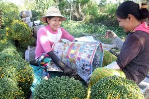 Đồng Tháp sẽ đánh giá năng lực cạnh tranh sở, ngành