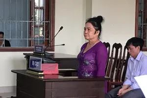 Ném một cục đá, nhận lại... sáu tháng tù