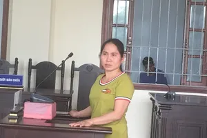 Chặt 20 cây cam, mãng cầu lãnh 6 tháng tù